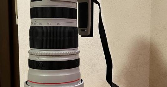Canon EF 200-400 f/4L IS 1.4x