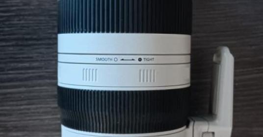  Canon EF 100-400 f 4.5-5.6L IS II 